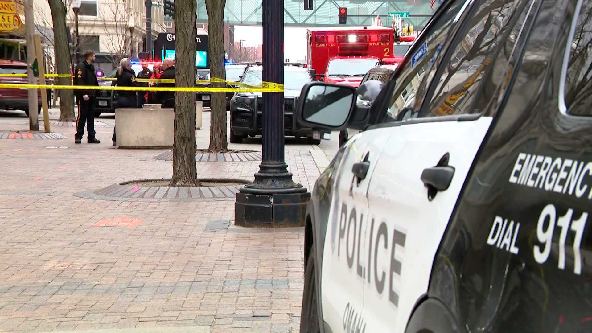 Omaha Women Injured By Ricochet After Police Officers Shoot Aggressive Dog