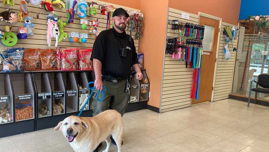 Animal shelter, Hamilton County dog wardens help dog after owner admitted to hospital Animal shelter, Hamilton County dog wardens help dog after owner admitted to hospital