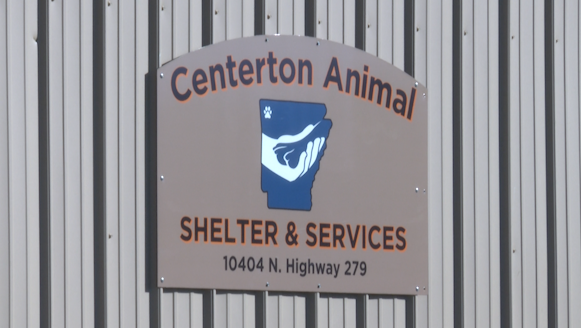 Centerton Animal Shelter director fired after euthanasia of dogs - Vimarsana News