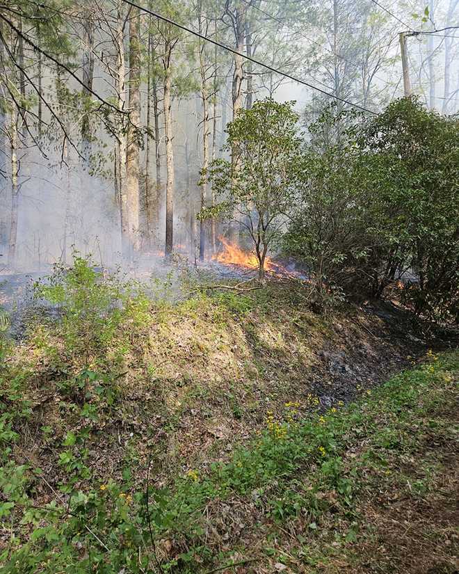 North Carolina: Brush fire contained in Hendersonville