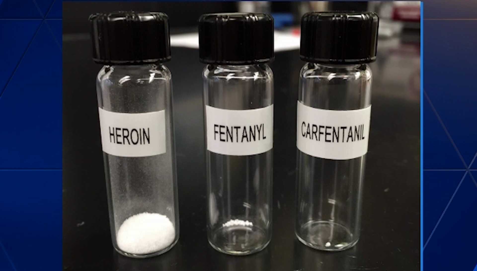 Fentanyl Presence Growing As Opioid Deaths Decline Slightly