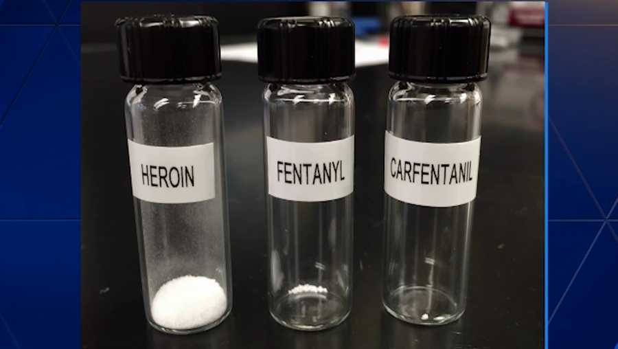 heroin, fentanyl, carfentanyl, opioid