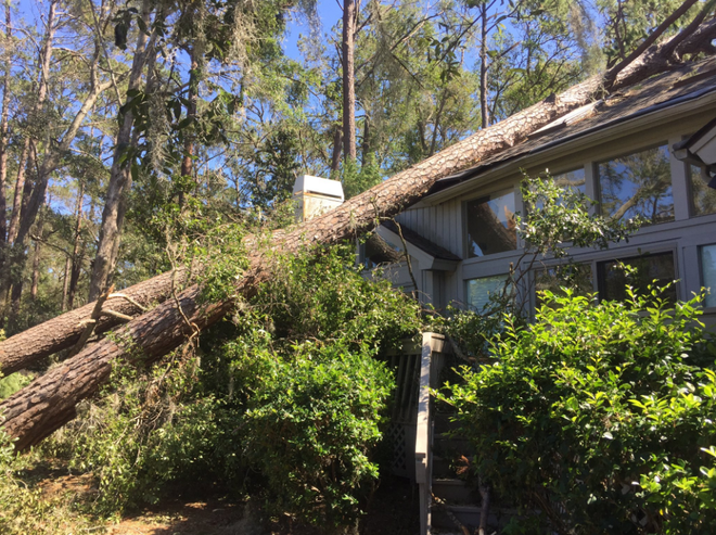 Take a look at the damage from Hurricane Matthew in Sea Pines