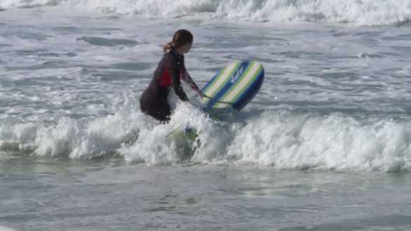 Bay Area surfers chased by unusually aggressive shark - Vimarsana News