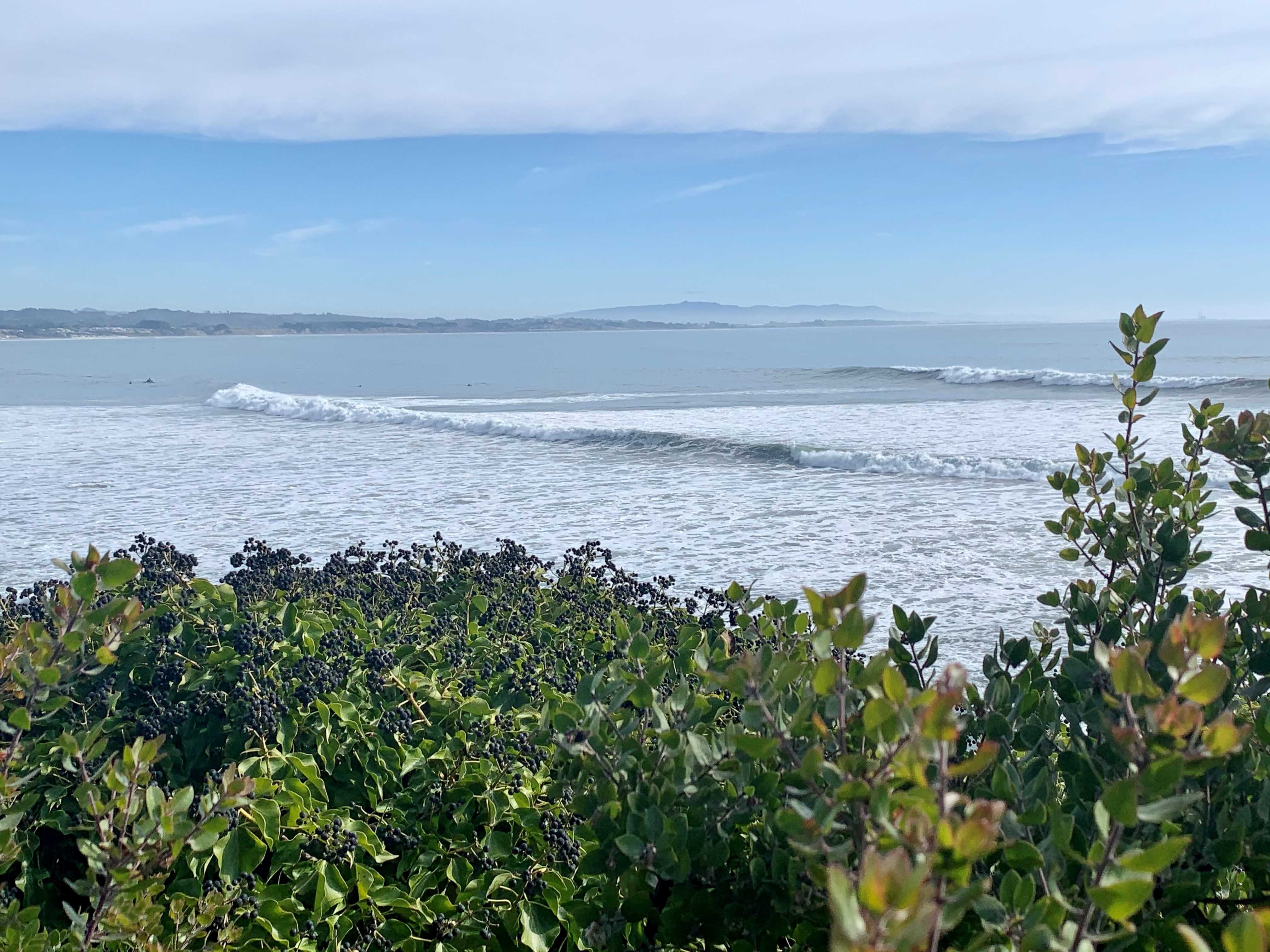 Local surfer suggests knowing the risks before paddling out during