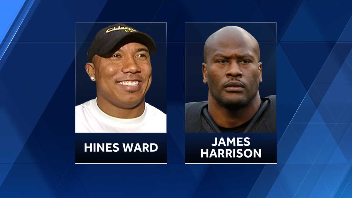 Pittsburgh Steelers' James Harrison Denies Hall of Fame Status