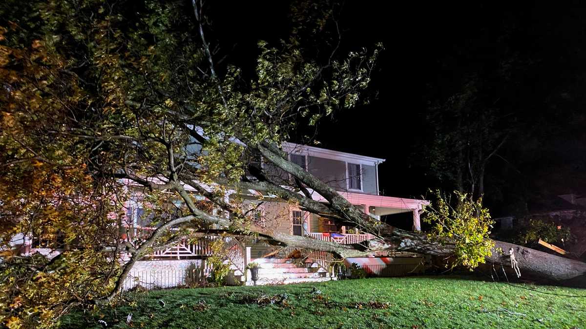 Images: Storm downs trees, power lines across Massachusetts