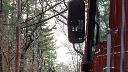 Strong winds bring down trees, crush vehicles, take out power lines