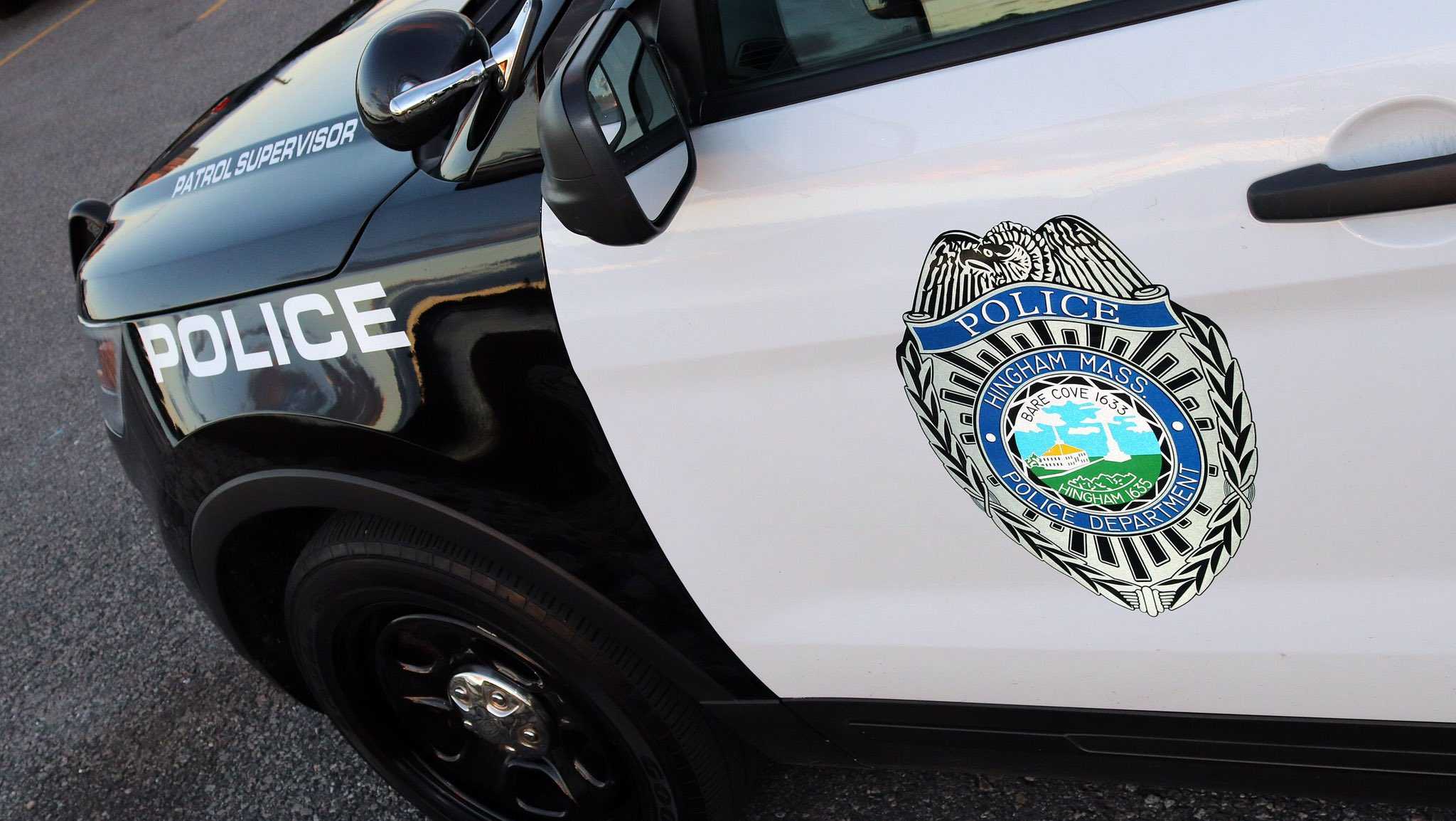 Dog death at South Shore Fourth of July parade under investigation