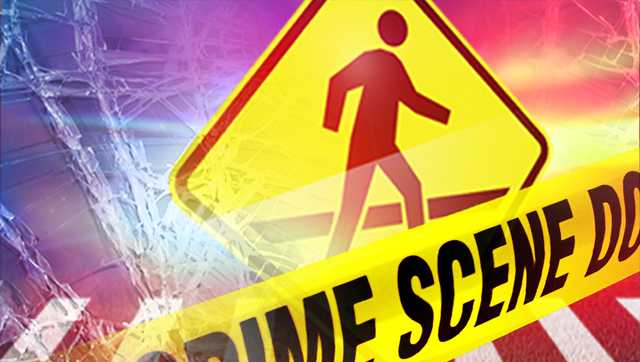SC: Police searching for driver responsible for deadly hit-and-run - Vimarsana News