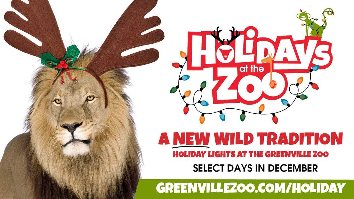 Greenville Zoo holiday lights