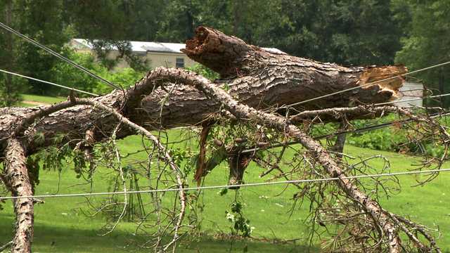 Thousands of Mississippians left in the dark after strong storms rip down trees, power lines - Vimarsana News