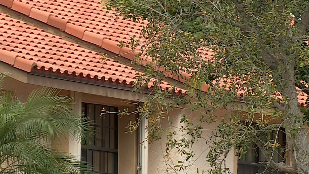 Florida policy holder with insurance company raising premium frustrated with price increase - Vimarsana News