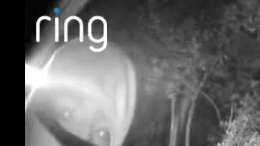 Police release images of suspect in South Carolina home invasion