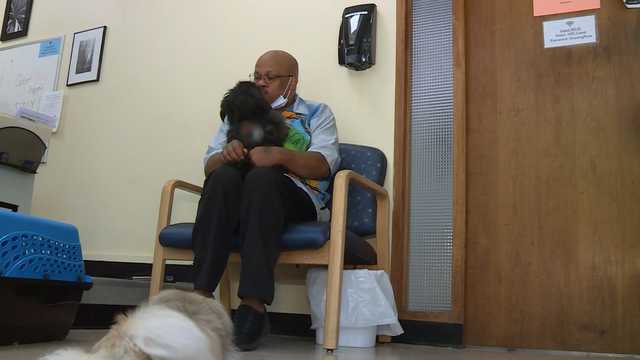 Local organization aims to keep families and their pets together when facing homelessness - Vimarsana News