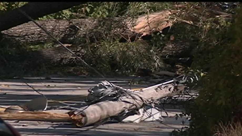 Wind takes down tree, utility poles in Hooksett