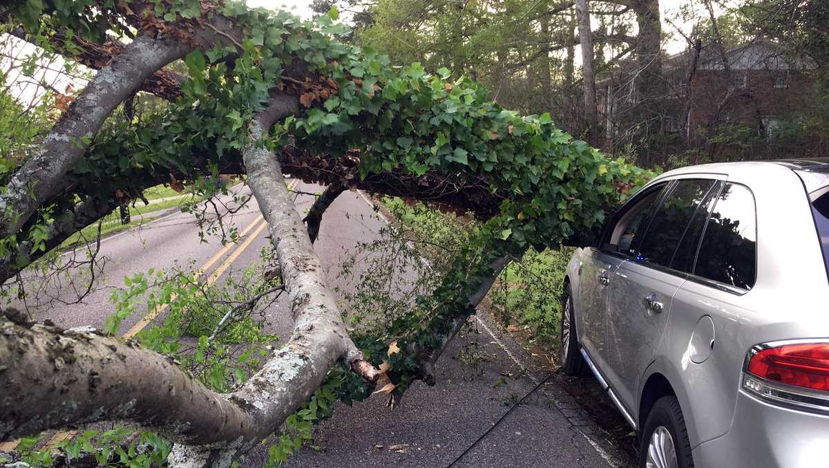 PHOTOS: Storm damage, hailstorms across central Alabama