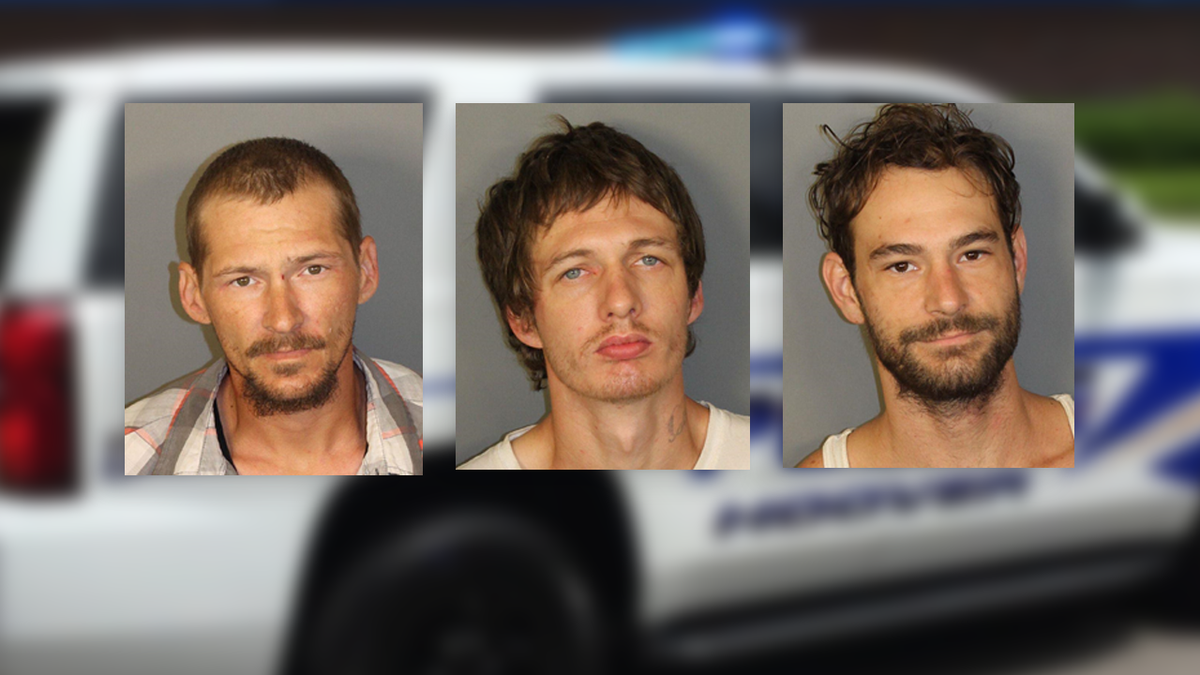 3 suspects in Hoover home burglary nabbed at Bessemer pawn shop