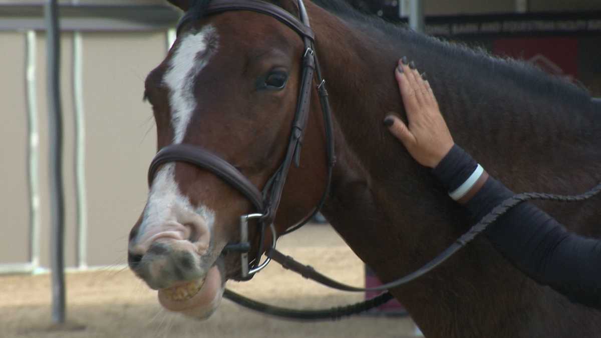 Annual horse expo moves from Cal Expo to Rancho Murieta