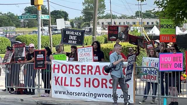 Protesters at Preakness seek end of horseracing in Maryland - Vimarsana News