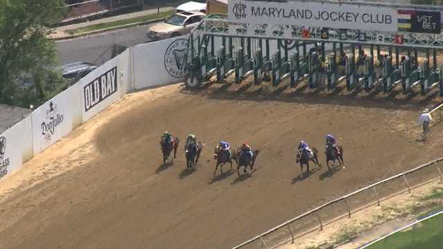 What, and where, is the future of horse racing in Maryland? - Vimarsana News