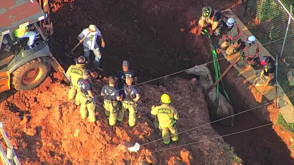 watch-crews-rescue-horse-from-trench