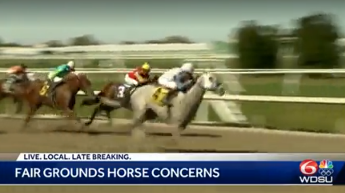 Churchill Downs executive addresses surge in horse deaths; introduces