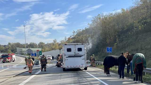 Horses on the highway: I-75 NB closed after truck hauling horses catches fire - Vimarsana News