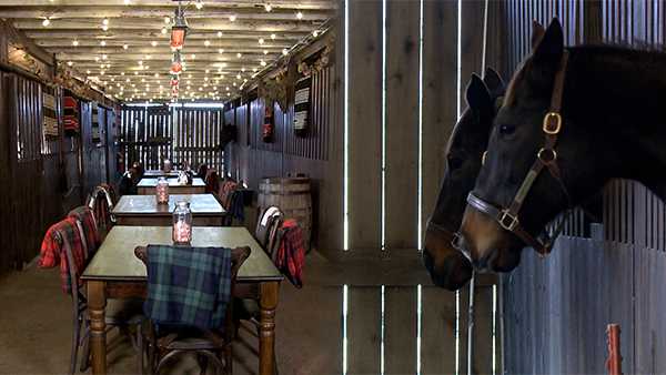 You can sip bourbon among retired race horses at new Hermitage Farm experience - Vimarsana News