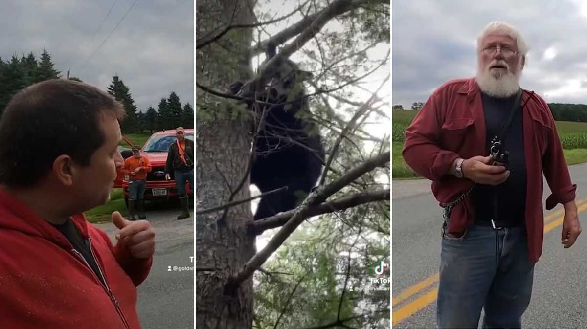 Vermont Viral TikTok sparks debate about hound hunting in state