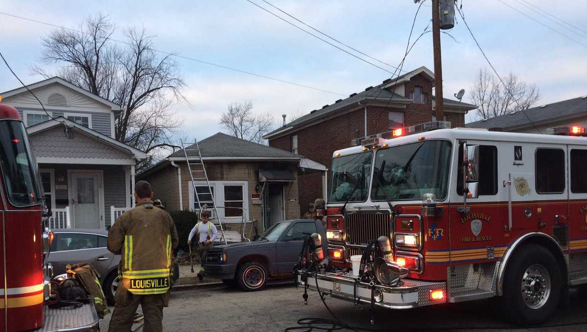5 dogs die in Louisville house fire