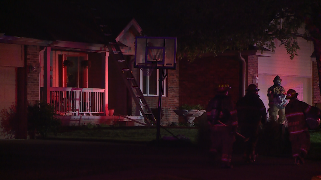 Cats rescued from Papillion house fire