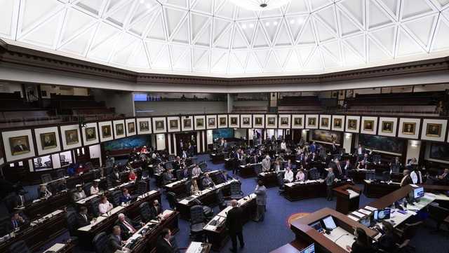 Florida House passes abortion ban led by Republicans - Vimarsana News