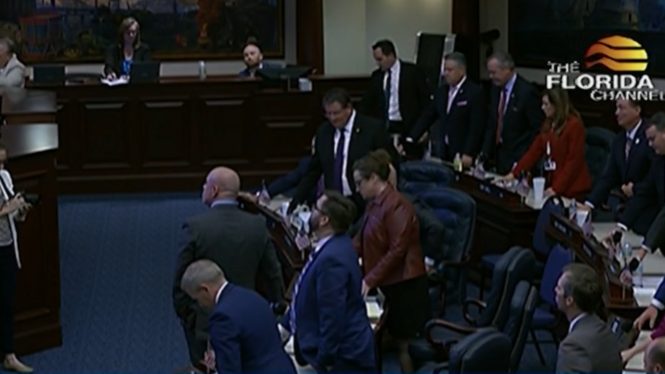 Florida abortion ban: House approves ban after 15 weeks