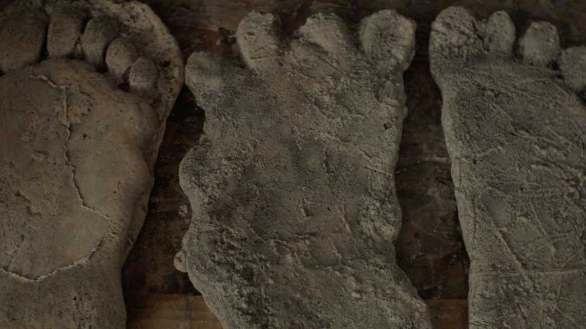 New doc investigates whether Bigfoot murdered NorCal pot farmers - Vimarsana News