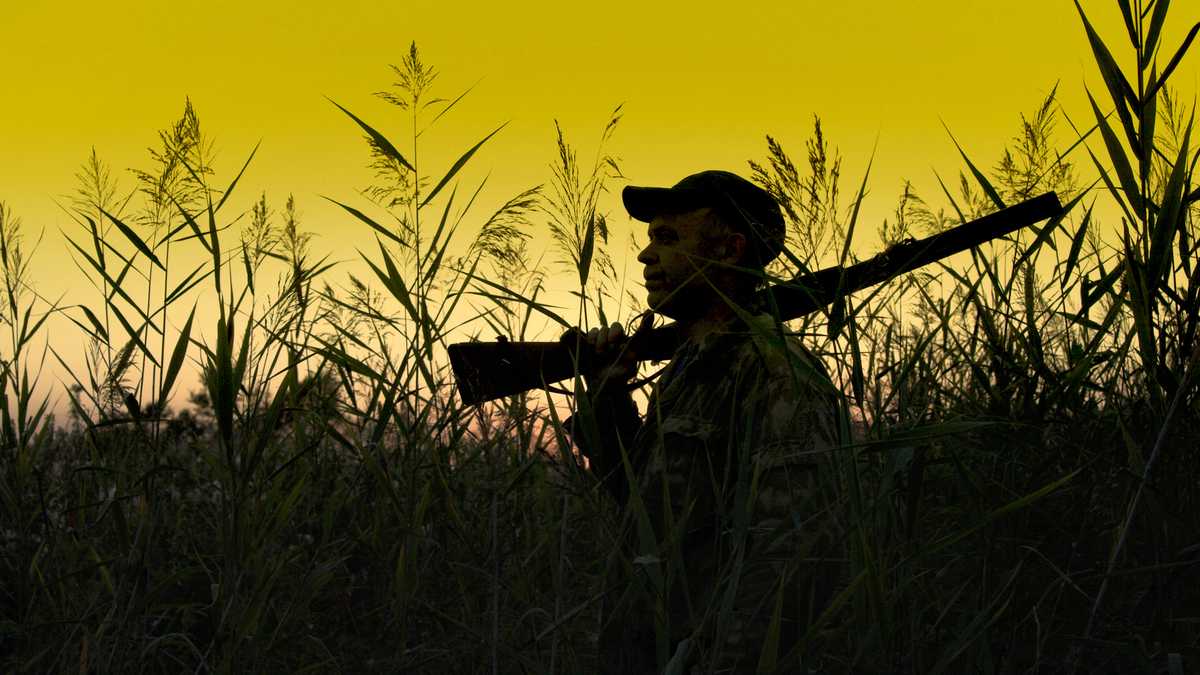 Indiana reserved hunting applications opening under new system