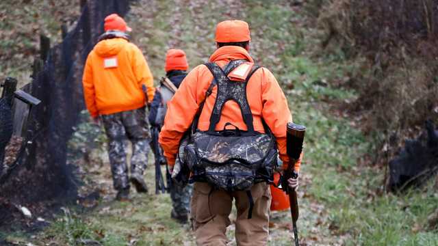 Maine's top court says Sunday hunting can remain banned - Vimarsana News