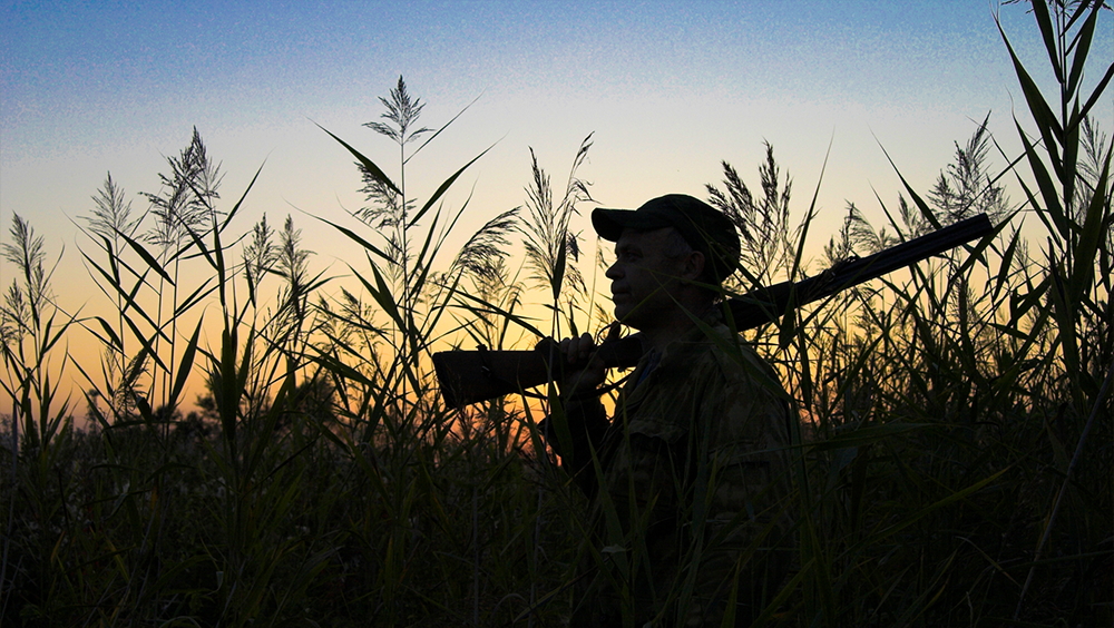 54 acres of hunting land in South Carolina closed after bait is found, SCDNR says