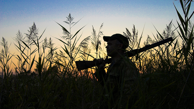 South Carolina: 13 year old shot, killed in hunting accident - Vimarsana News