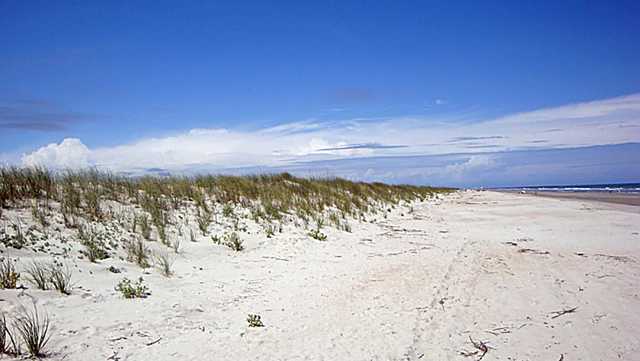 South Carolina: Teenager drowns off beach trying to save child - Vimarsana News
