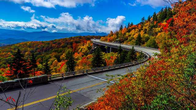 7 scenic drives across the US for your fall foliage fix - Vimarsana News