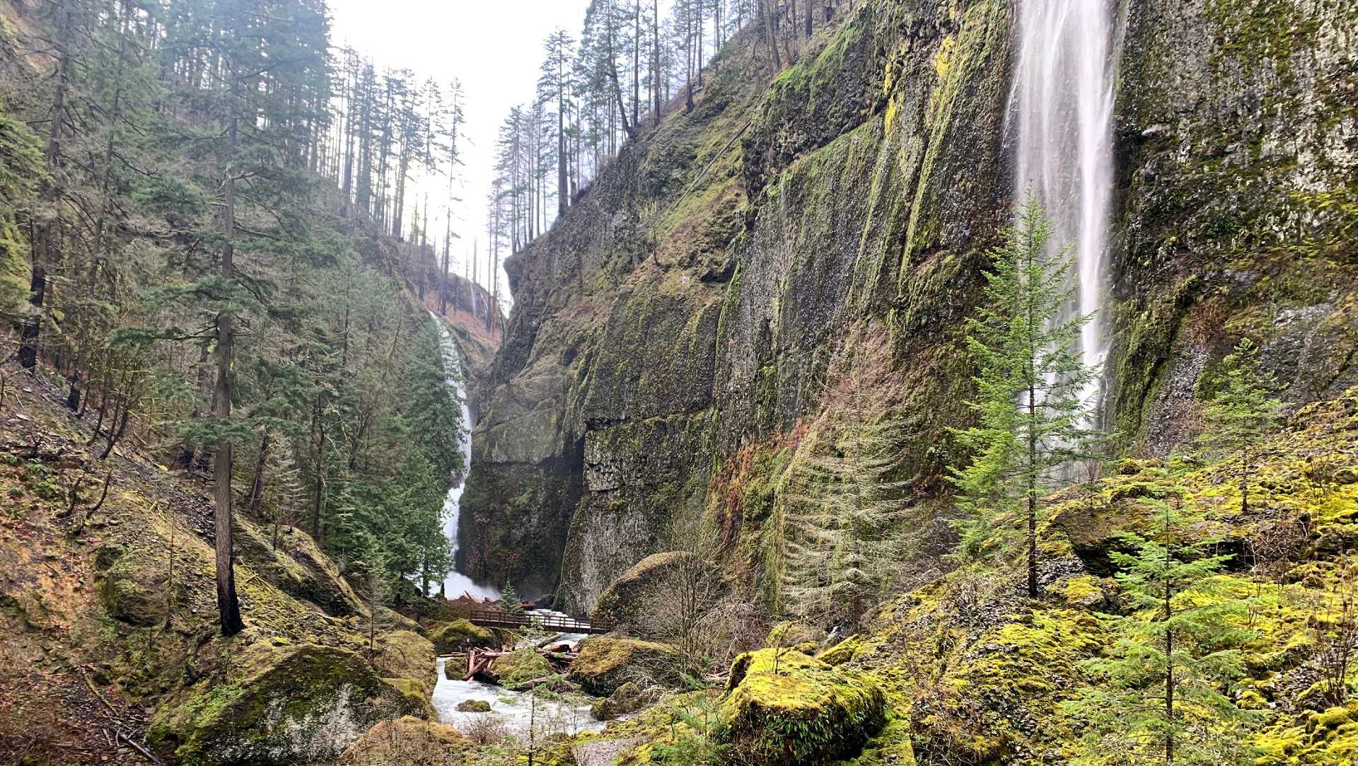 'Terribly devastating': Hiker dies after 100-foot fall in Oregon's Columbia River Gorge - Vimarsana News