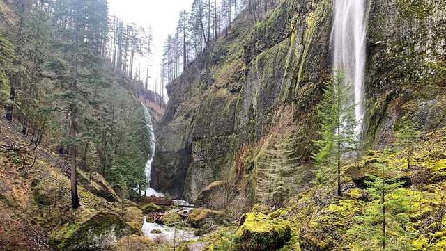 'Terribly devastating': Hiker dies after 100-foot fall in Oregon's Columbia River Gorge - Vimarsana News