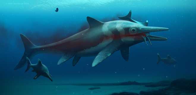 An&#x20;artistic&#x20;reconstruction&#x20;of&#x20;what&#x20;the&#x20;ichthyosaur&#x20;may&#x20;have&#x20;looked&#x20;like.
