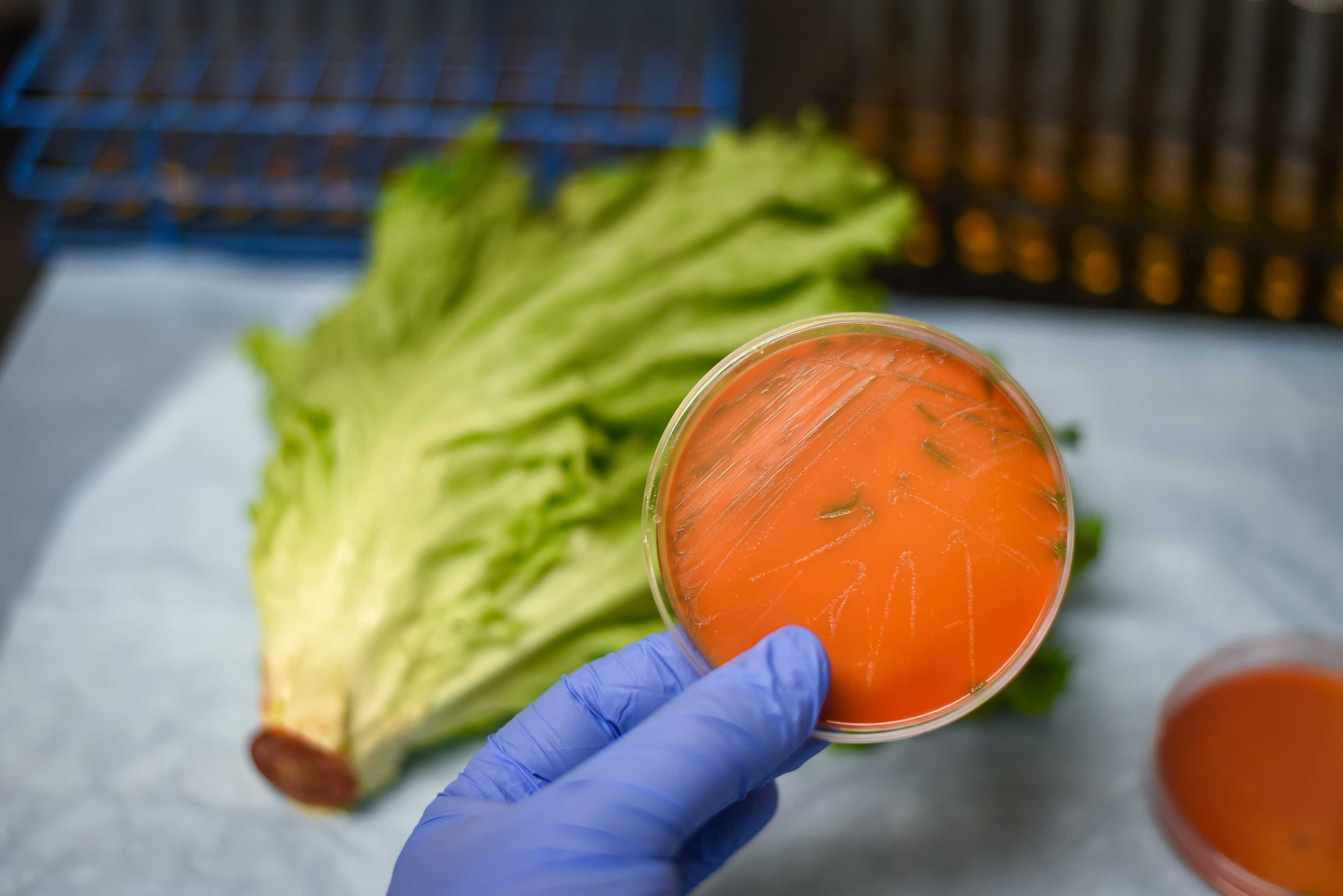 Listeria Outbreak: Here's How To Protect Yourself