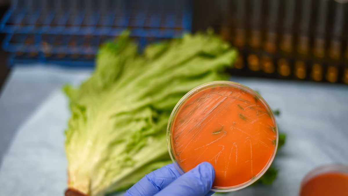 Listeria outbreak Here's how to protect yourself