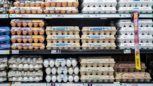Why eggs have been so expensive this year - Vimarsana News