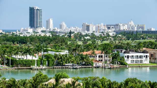 Florida is ditching palm trees to fight the climate crisis - Vimarsana News