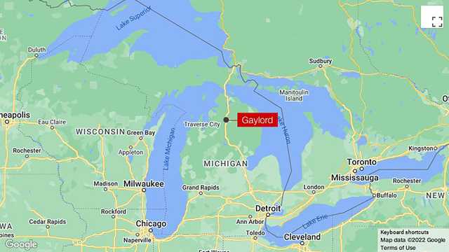 An unidentified illness has killed dozens of dogs in Michigan - Vimarsana News
