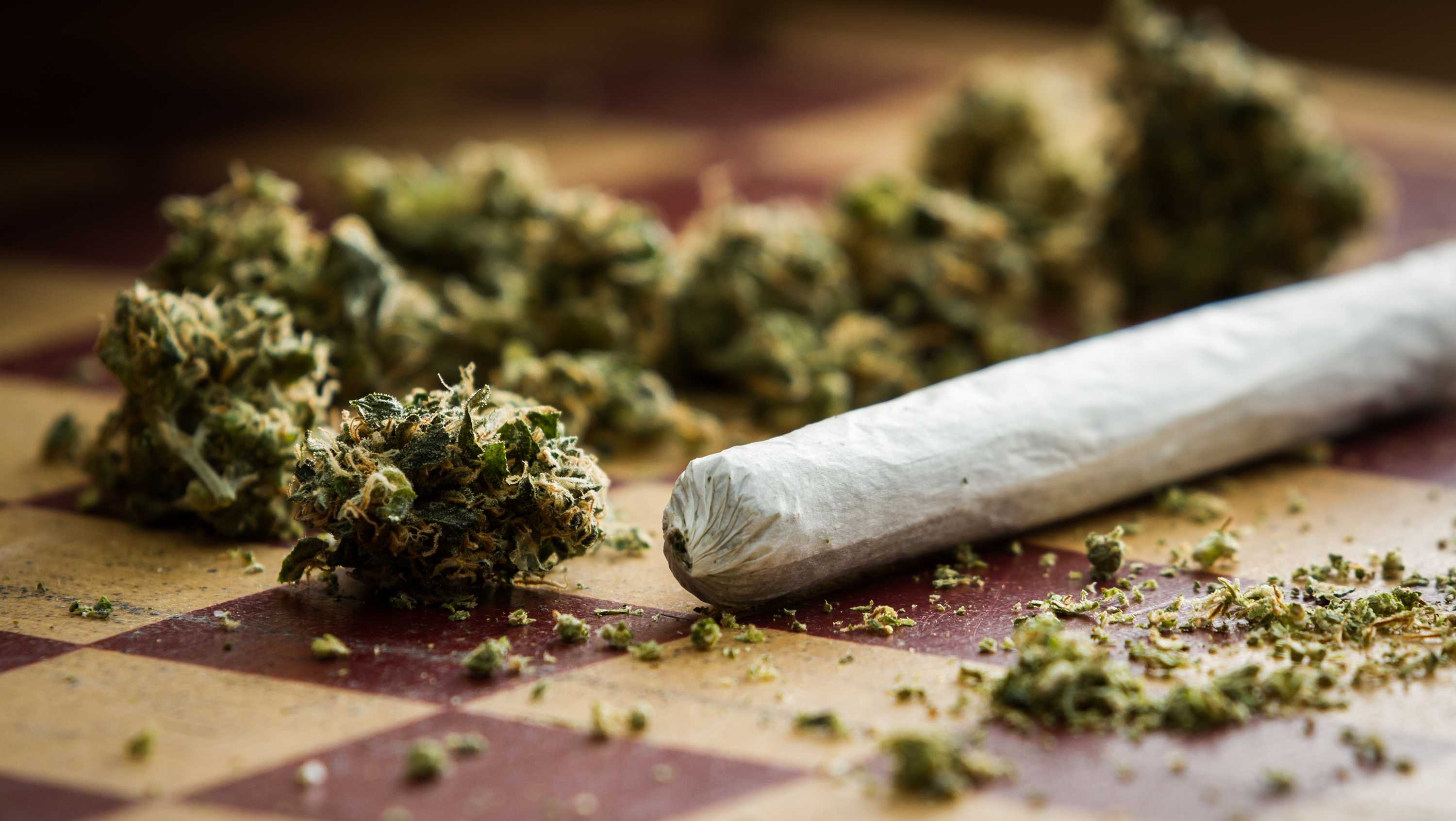 Highly potent weed creating marijuana addicts worldwide, study says - Vimarsana News